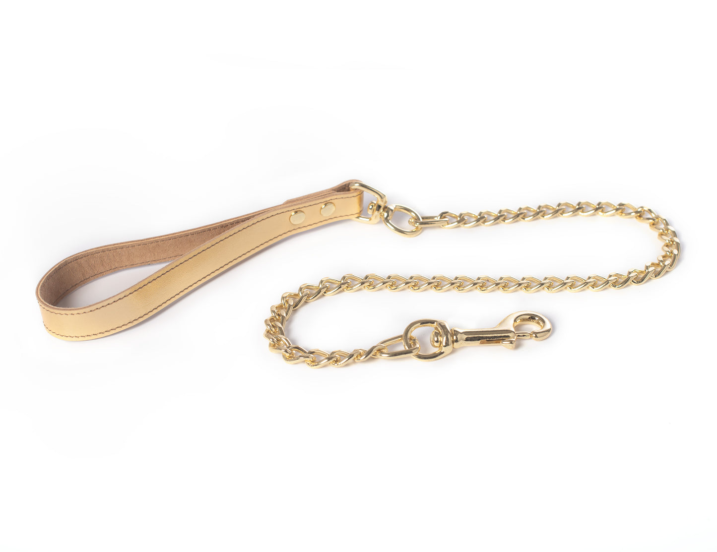 Metallic Leather Chain Leash