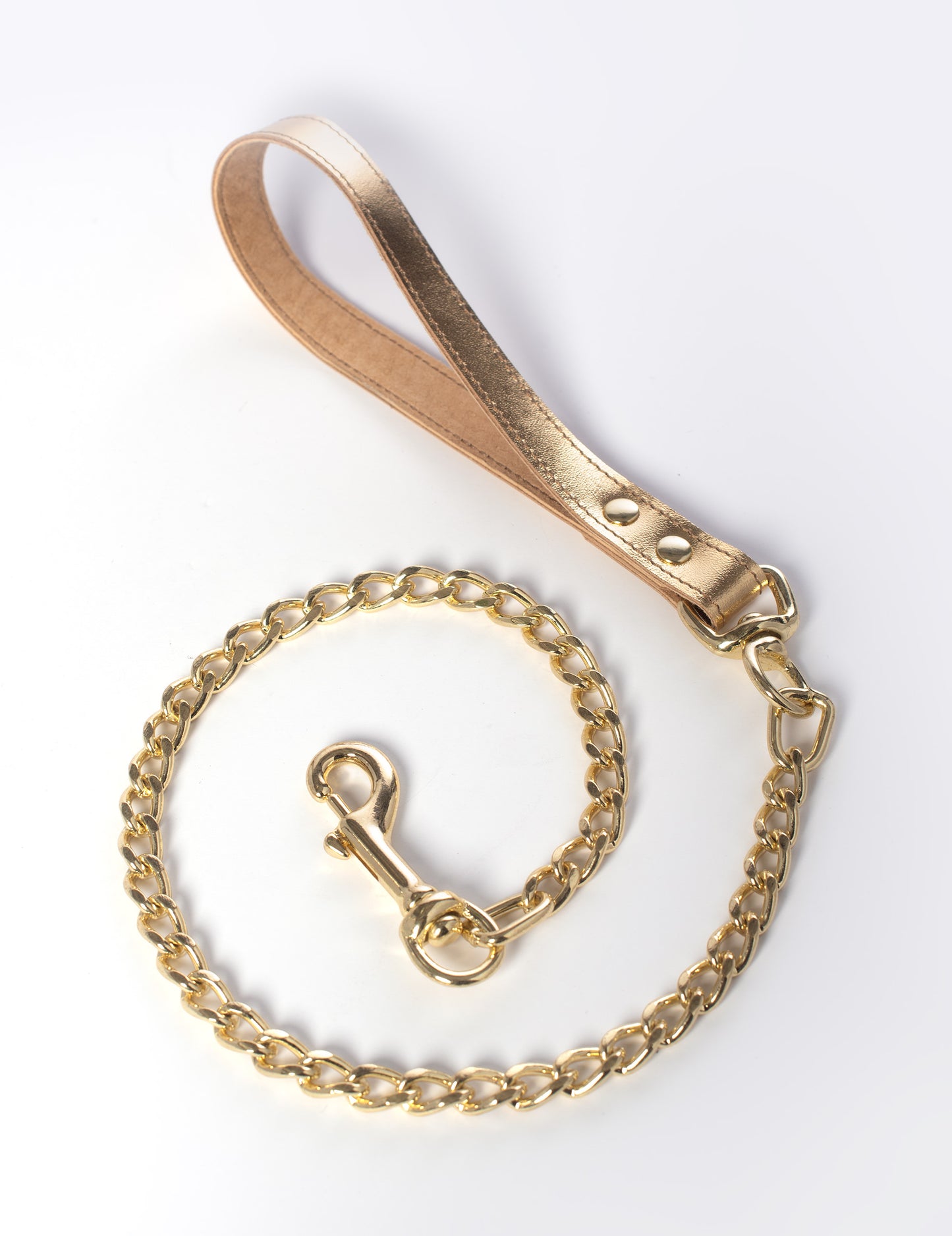 Metallic Leather Chain Leash