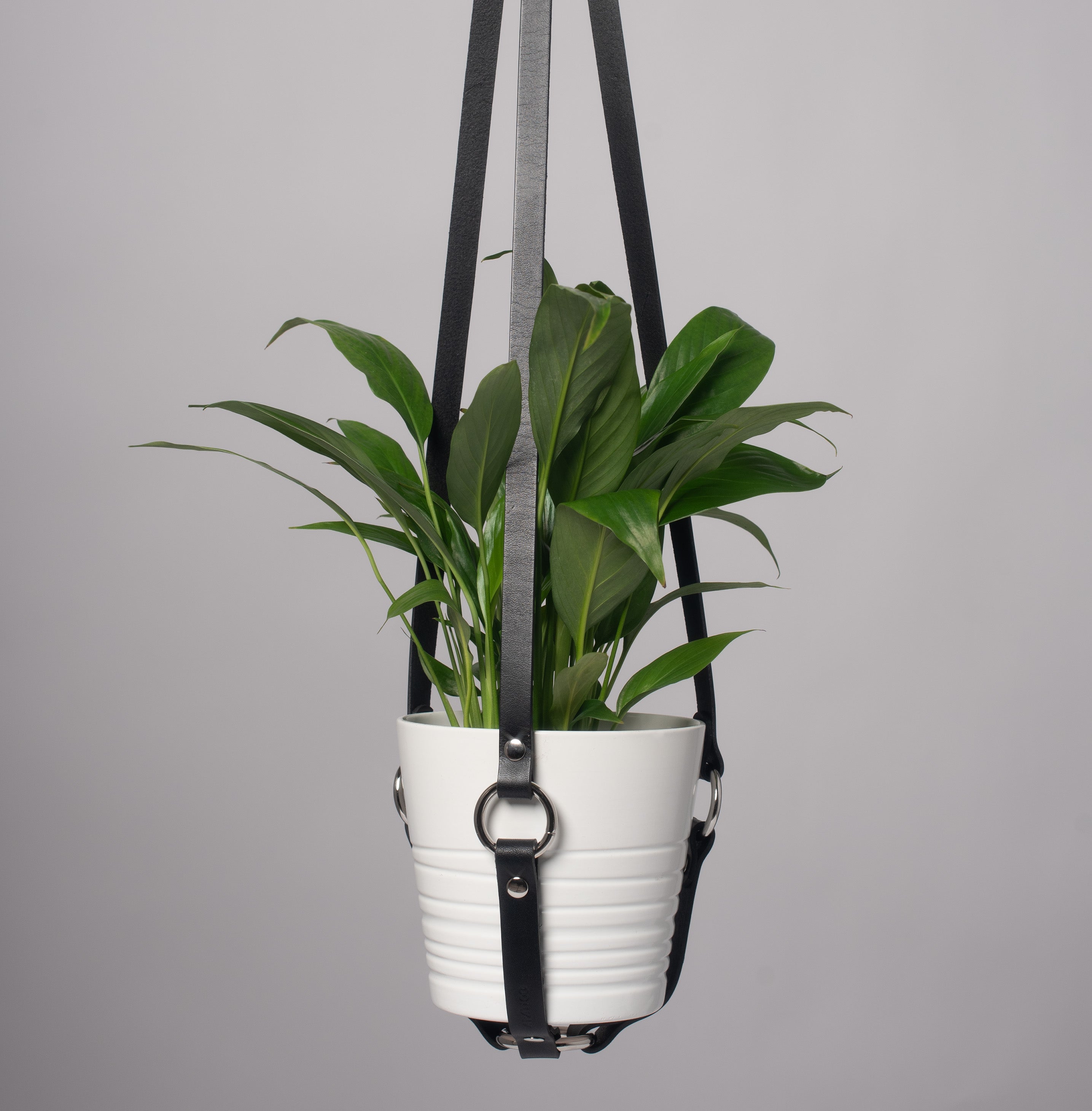 hanging potted plant rope holder Harness Plant Hanger - Black Leather