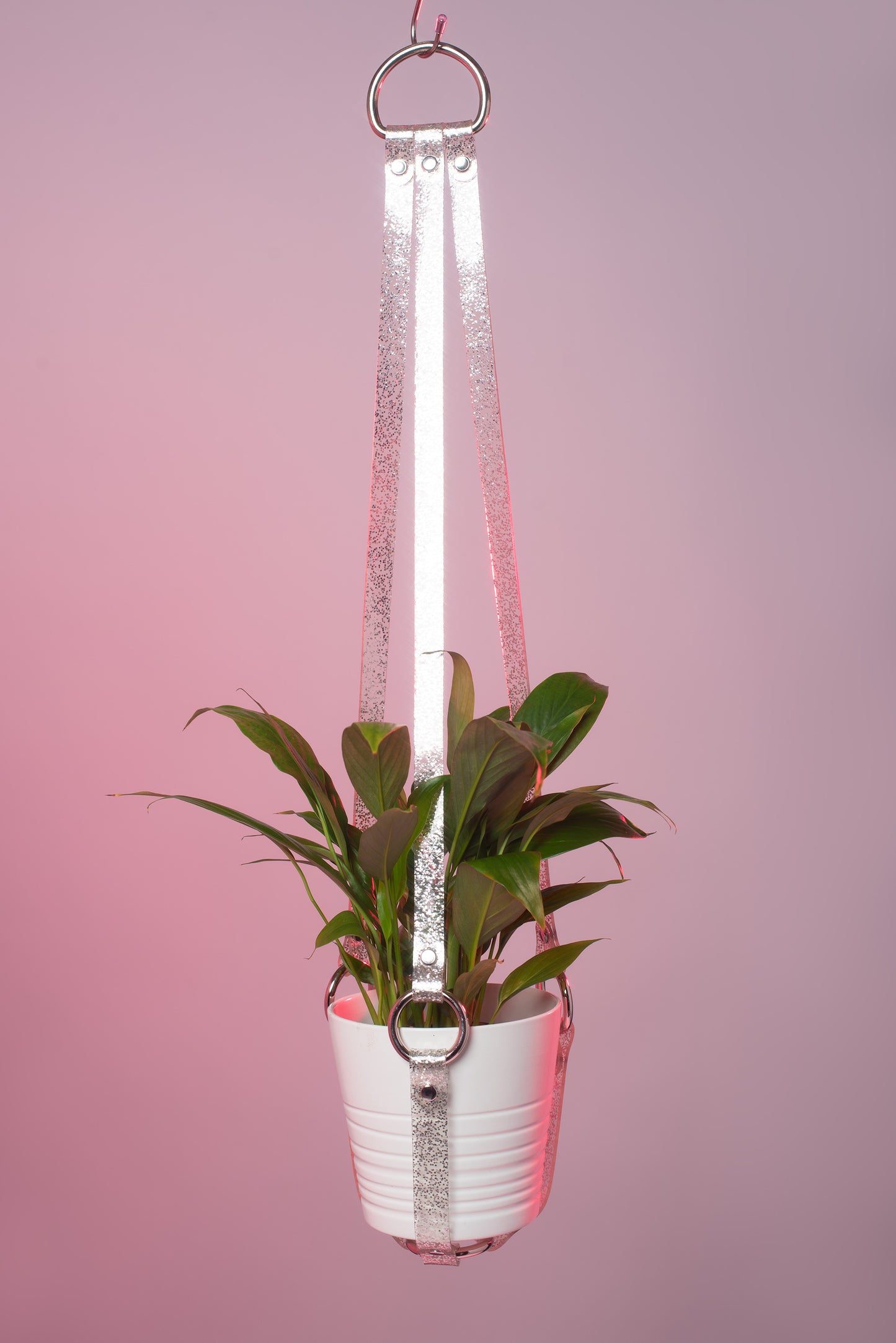 Harness Plant Hanger - Silver Glitter PVC