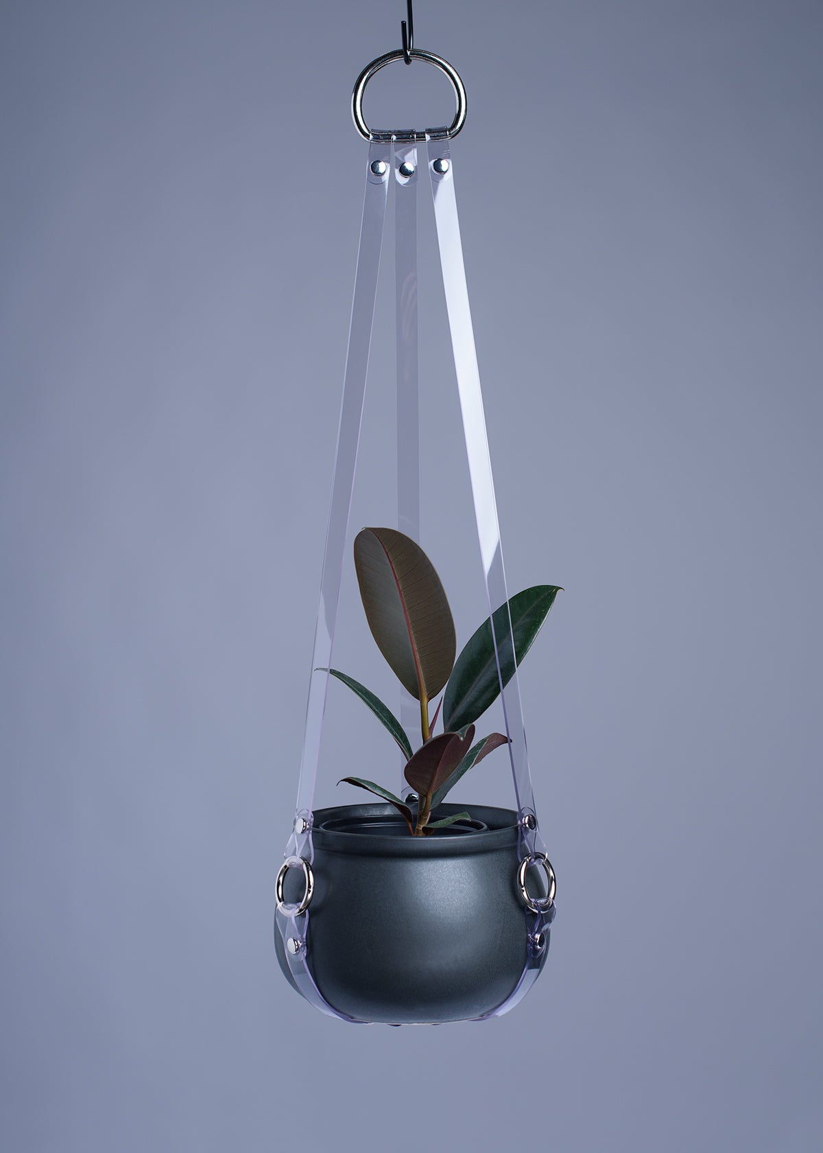 Harness Plant Hanger - Clear PVC
