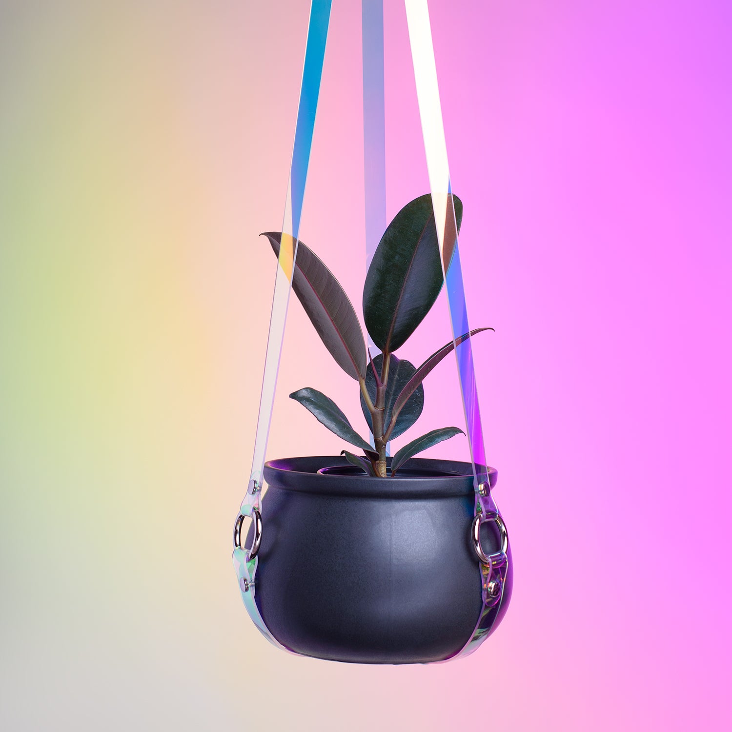 modern plant hanger indoor Harness Plant Hanger - Blue Iridescent