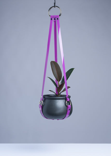 Harness Plant Hanger - Purple PVC