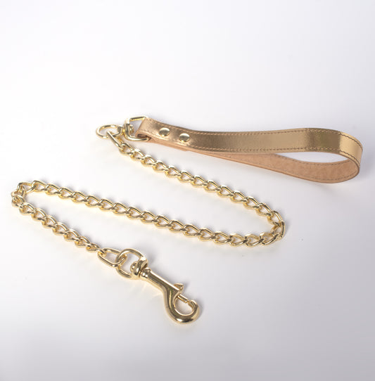 Metallic Leather Chain Leash
