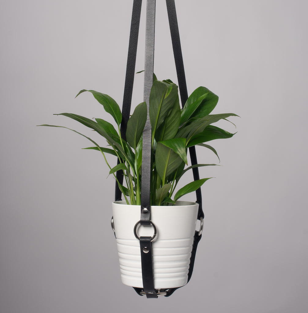 Harness Plant Hanger - Black Leather