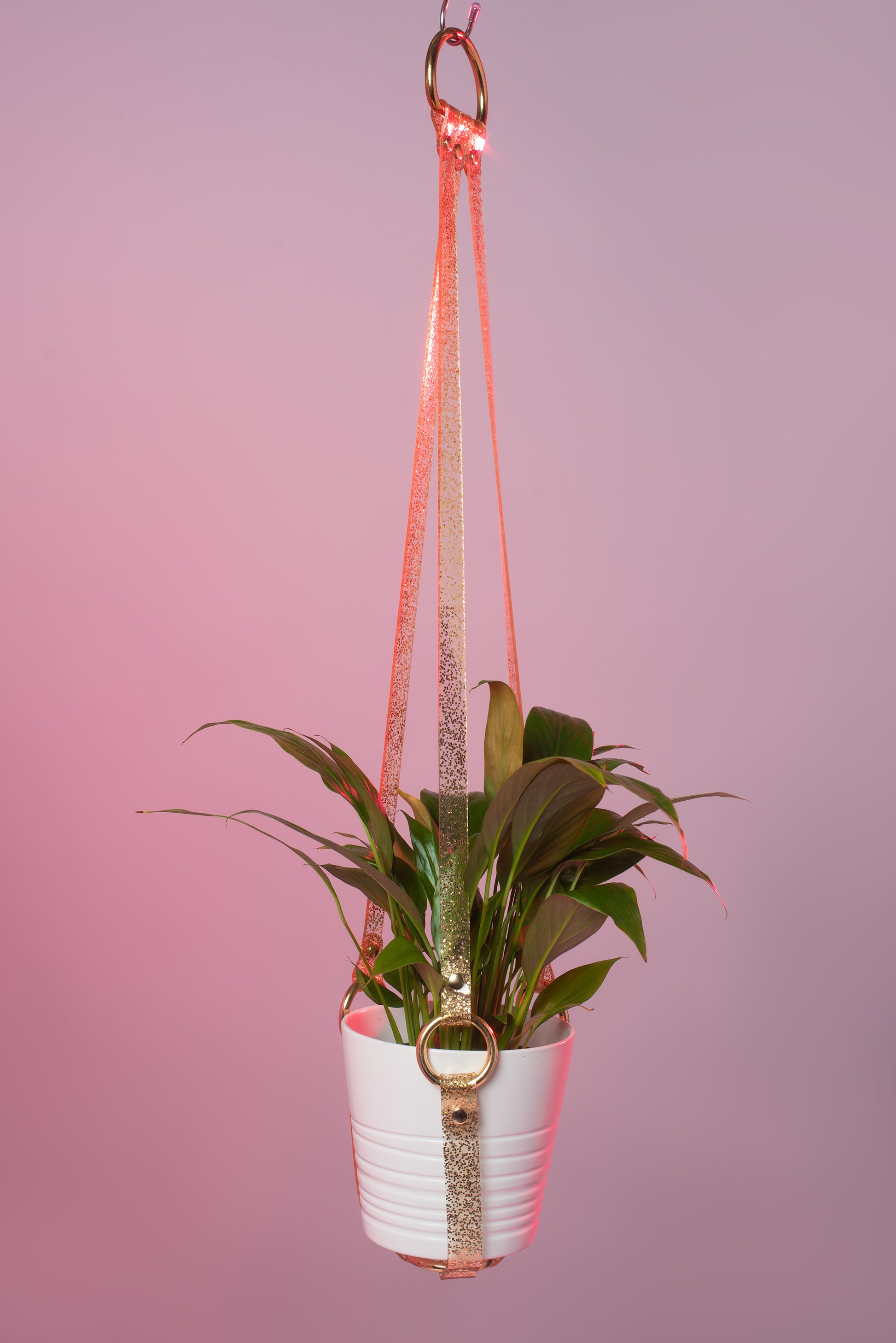 gold plant hanger Apatico - Harness Plant Hanger