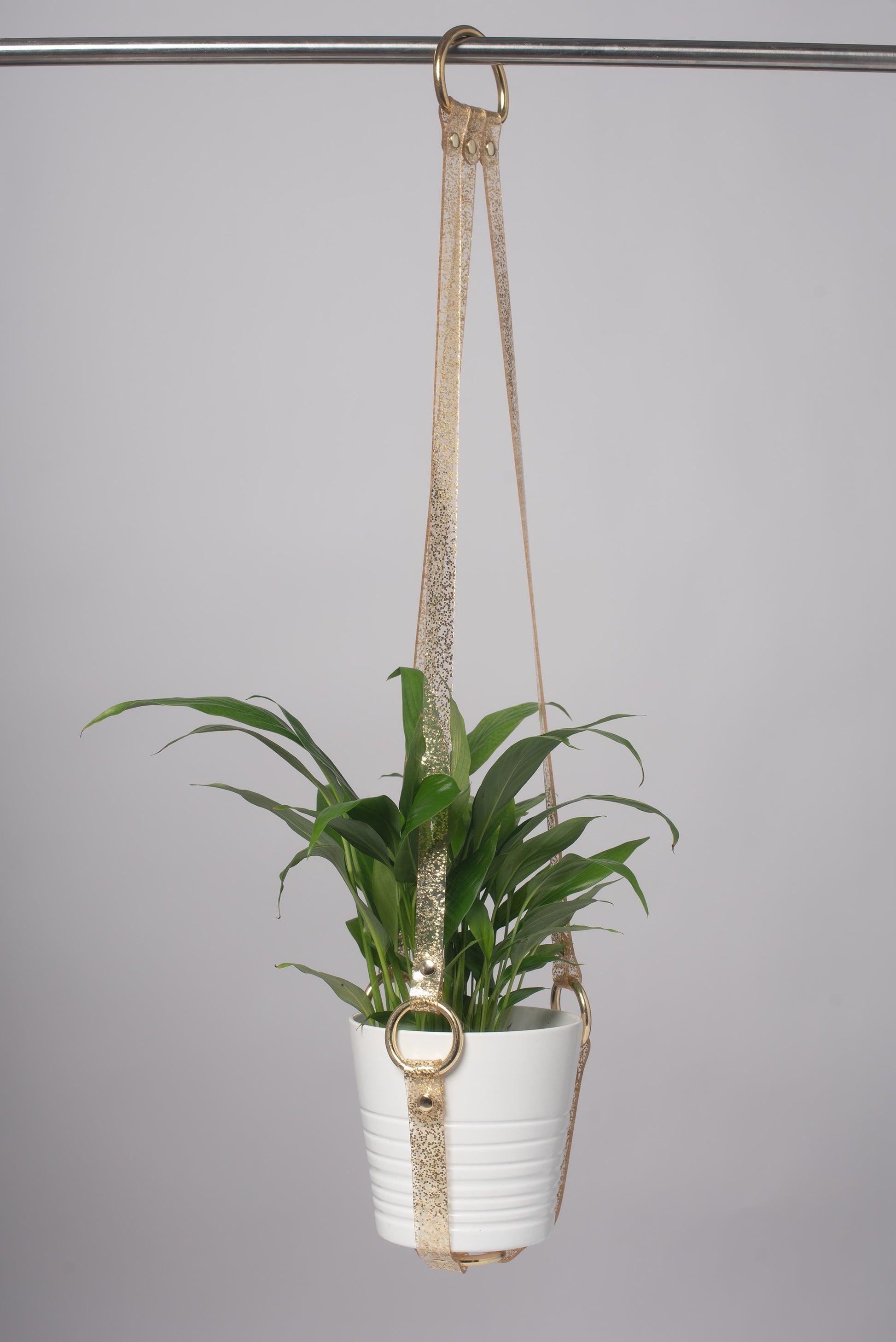 gold plant wall hanger Apatico - Harness Plant Hanger