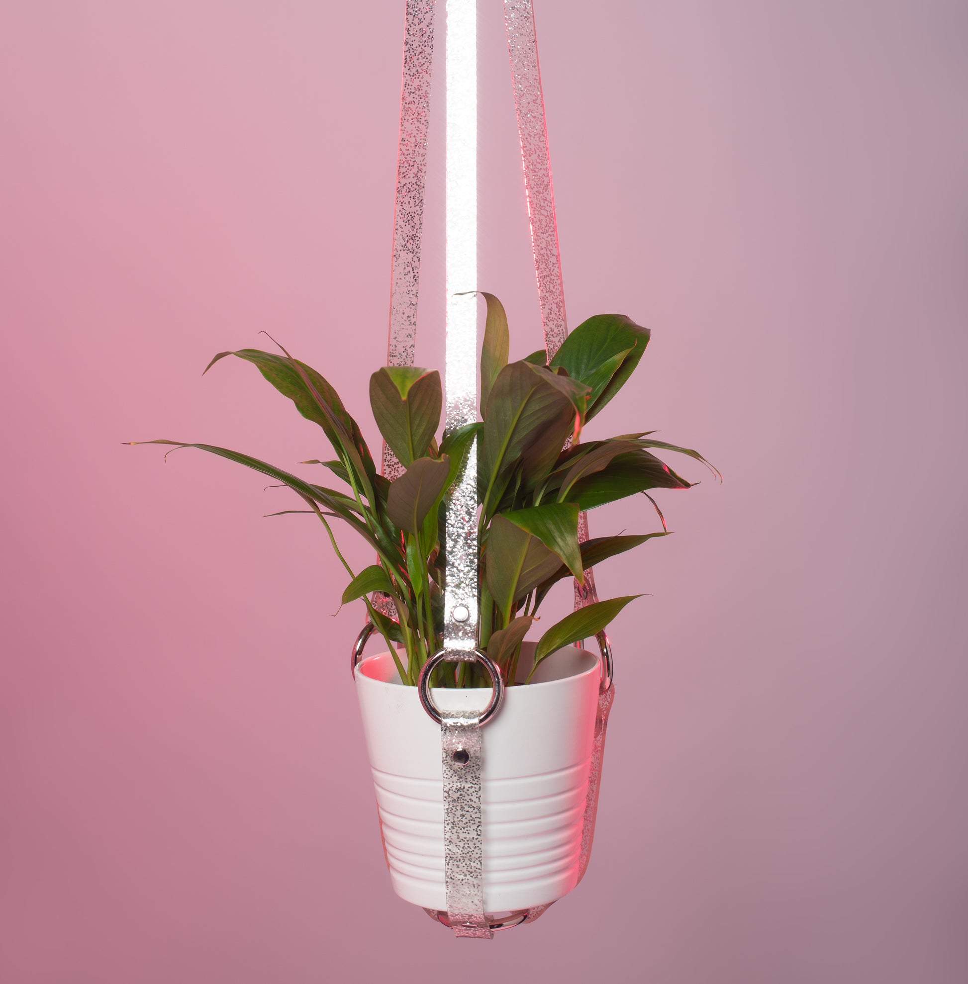 clear plant hanger Harness Plant Hanger
