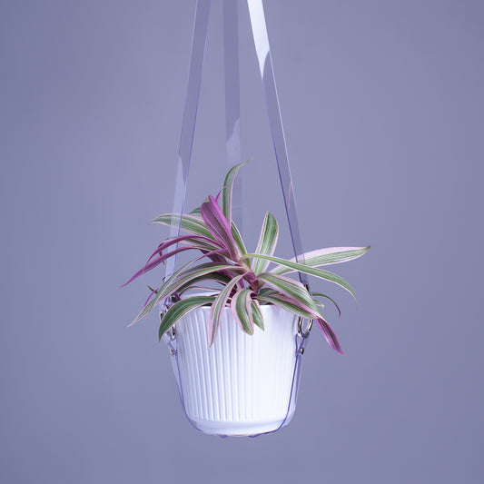 Harness Plant Hanger - Clear PVC