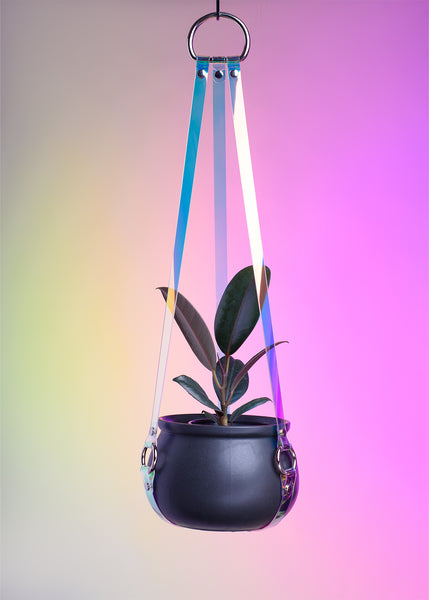 Harness Plant Hanger - Blue Iridescent