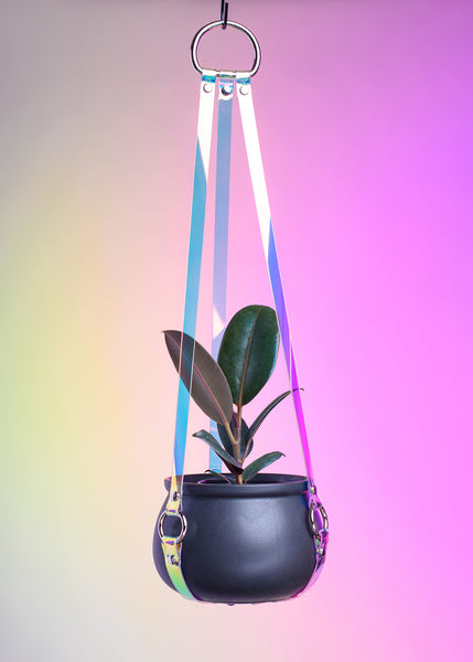 Harness Plant Hanger - Blue Iridescent