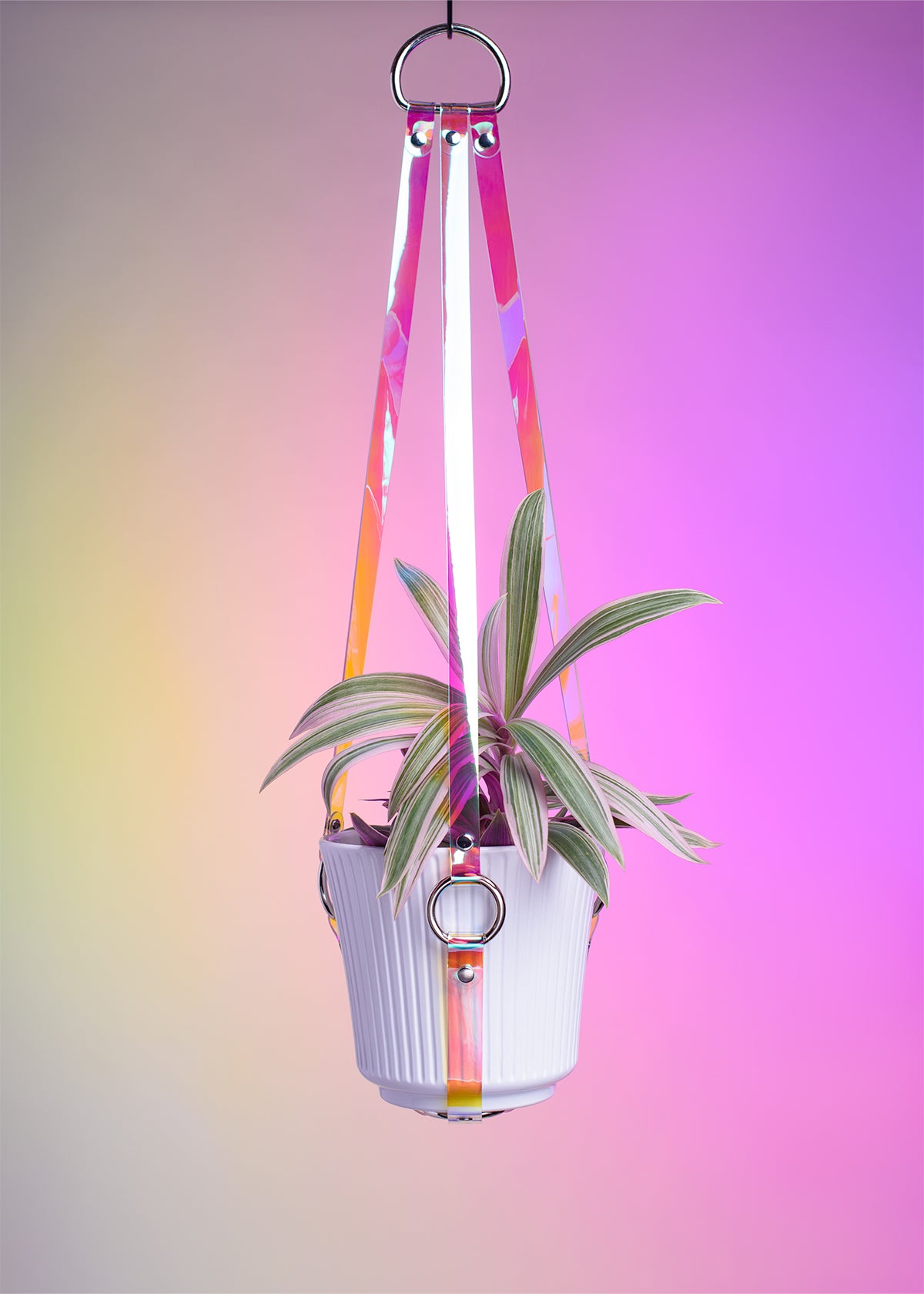harness plant hanger Harness Plant Hanger - Sunset Iridescent