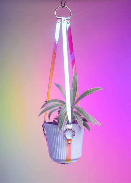 Harness Plant Hanger - Sunset Iridescent