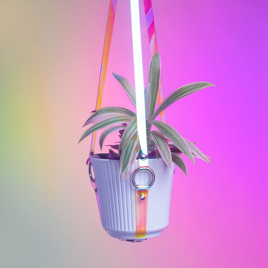Harness Plant Hanger - Sunset Iridescent