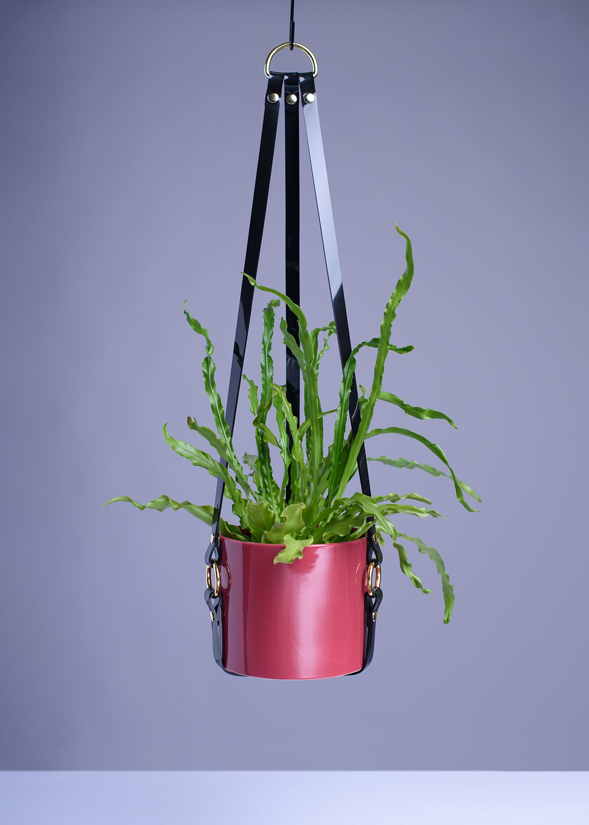 Harness Plant Hanger - Black PVC - Gold Hardware