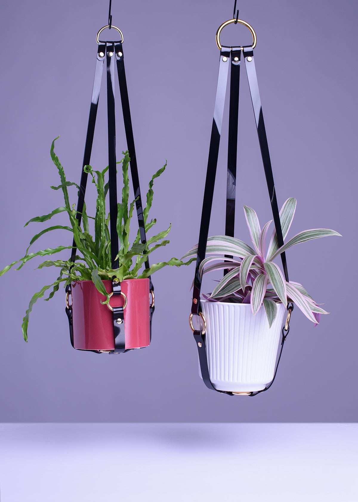Harness Plant Hanger - Black PVC - Gold Hardware