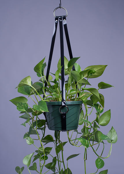 Harness Plant Hanger - Black PVC - Silver Hardware