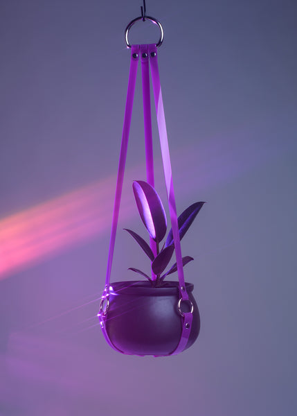 Harness Plant Hanger - Purple PVC