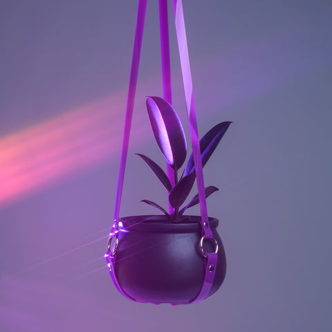 Harness Plant Hanger - Purple PVC
