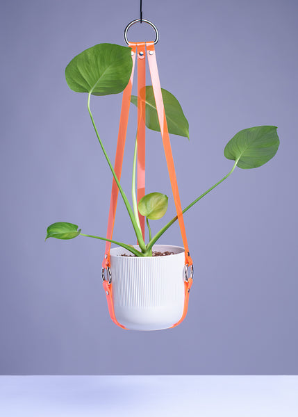 Harness Plant Hanger - Neon Orange PVC