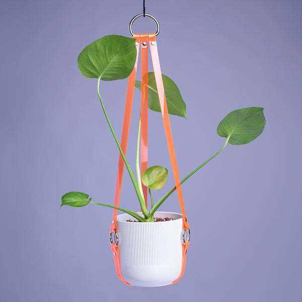 Harness Plant Hanger - Neon Orange PVC