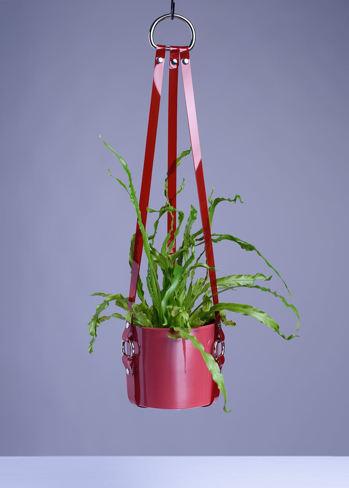 Harness Plant Hanger - Red PVC