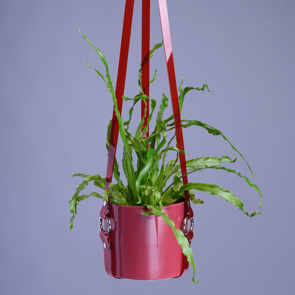 Harness Plant Hanger - Red PVC
