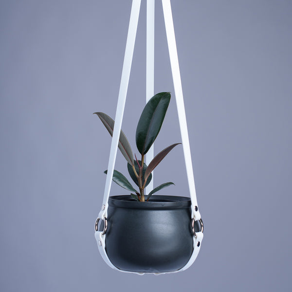 Harness Plant Hanger - White PVC