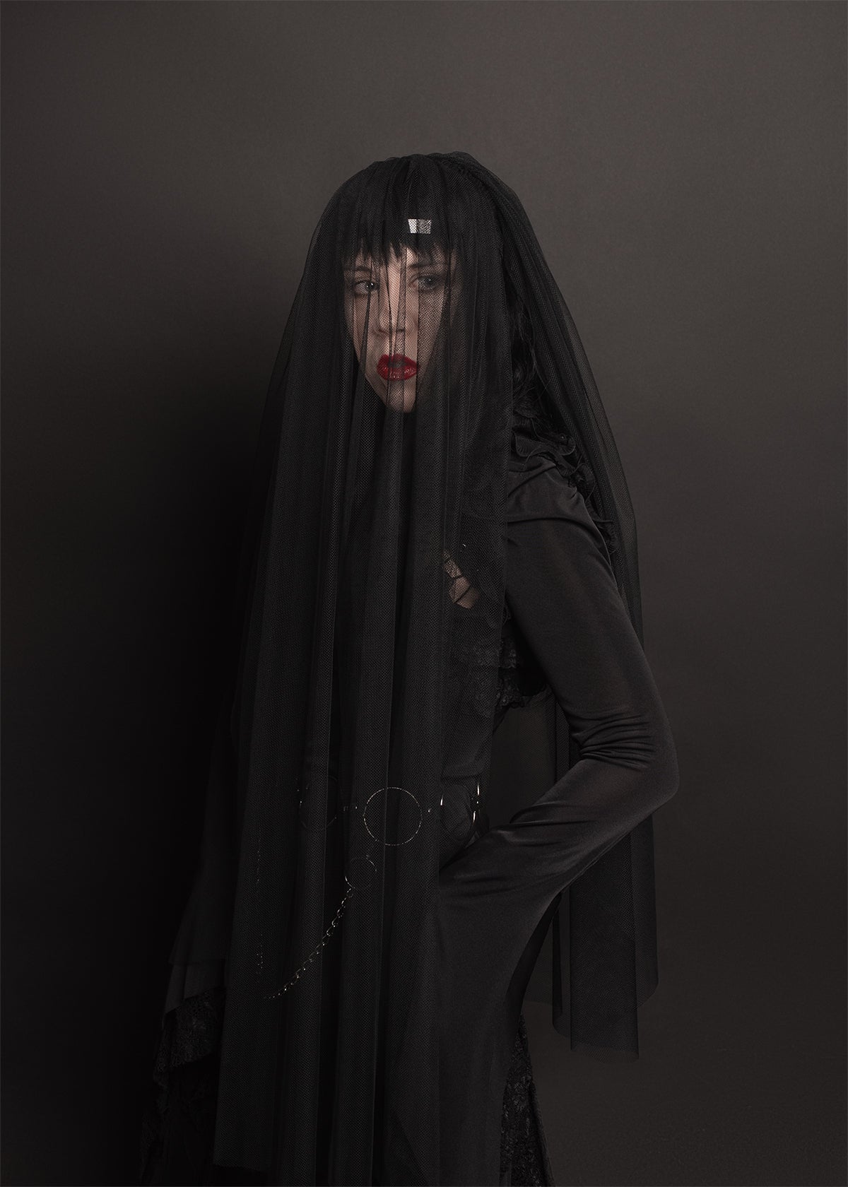Harness Veil Headpiece