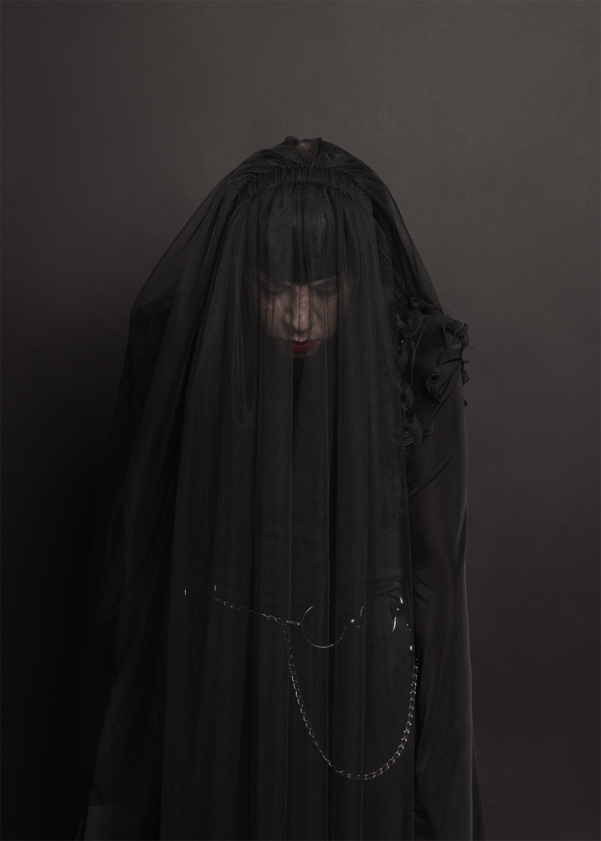 Harness Veil Headpiece