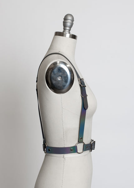 Reflective Rainbow Harness