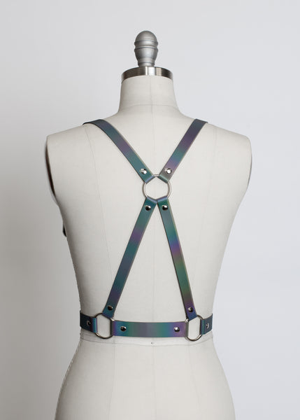 Reflective Rainbow Harness